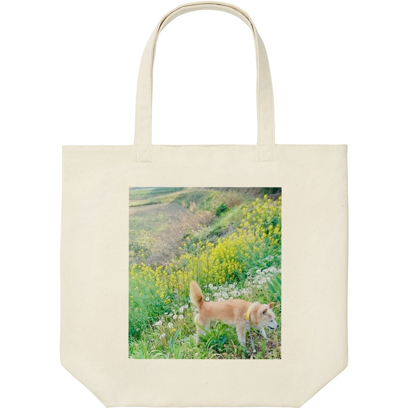 6a36b594 ee18 45d1 a966 703f59c2dbd4 9 print ll