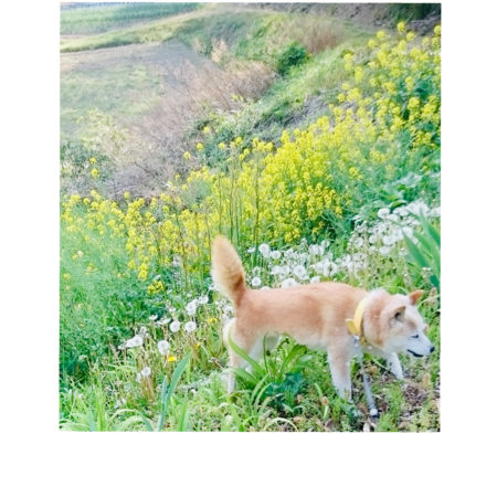 6a36b594 ee18 45d1 a966 703f59c2dbd4 s