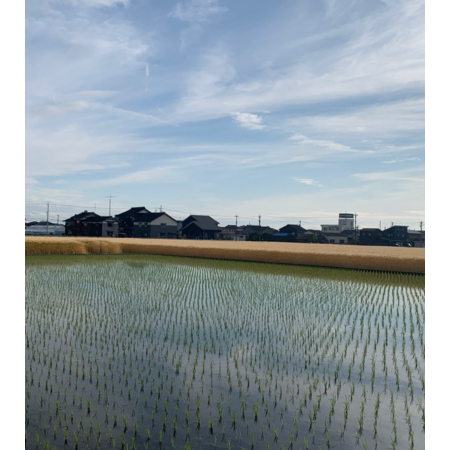 C8da358d a323 427e aa95 152655495753 s