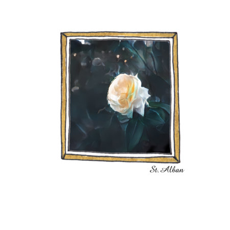 D1f81626 2403 4a30 b179 9753eff45959 s