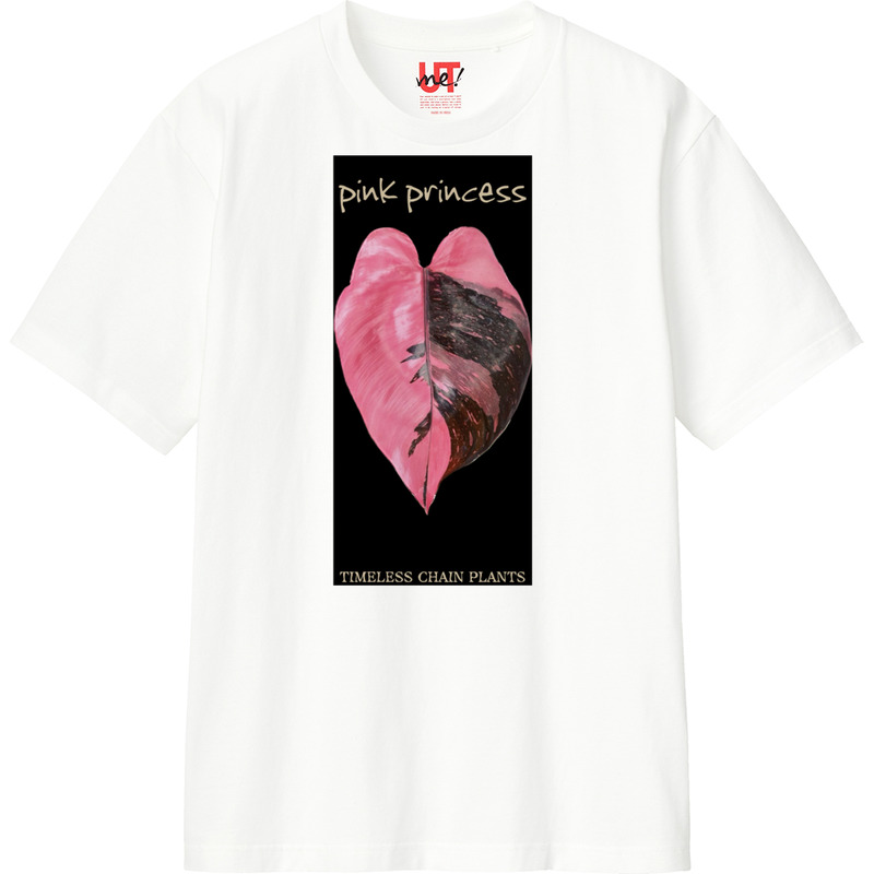 Fefcef35 418a 4584 8133 557c1ffd5449 110 print ll