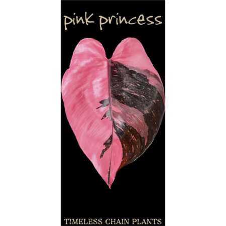 Fefcef35 418a 4584 8133 557c1ffd5449 s