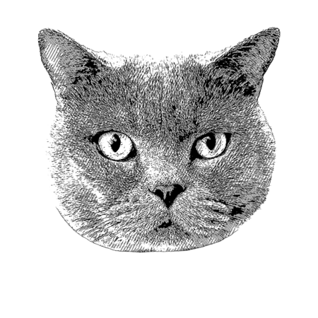 55a14244 fb4d 49ff b347 46489935e2b9 s