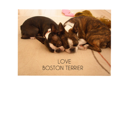 B3aec688 667a 44da 860b de19c6e43aba s