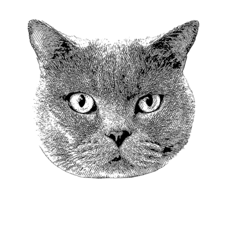 318967bb 86ac 48c9 844b 3a303b4543bd s