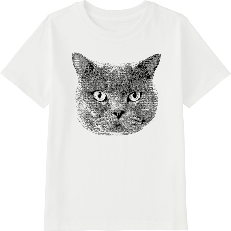 3f1245ce c8f2 4a5f 94c8 bb2d83d0676b 45 print ll