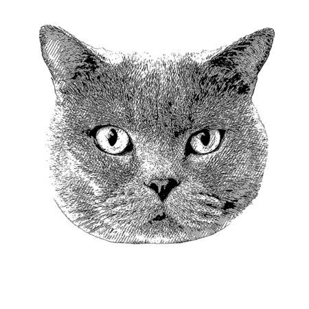 3f1245ce c8f2 4a5f 94c8 bb2d83d0676b s