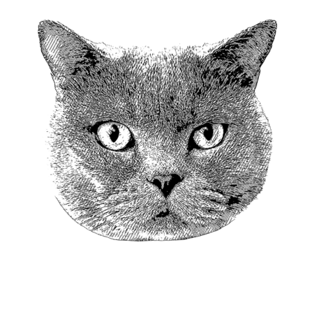 905cb62e 57f3 4edc 84b1 44c0d39bb06c s