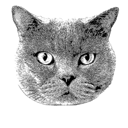 C427eef7 5cd9 47a2 bca9 eb028bb0a253 s