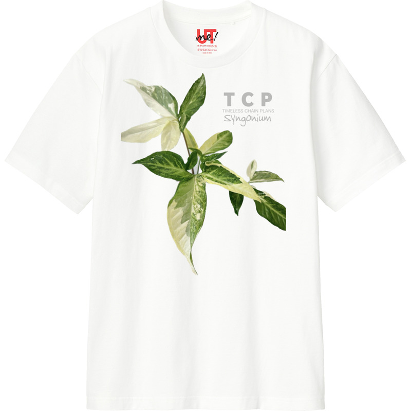 15792233 8305 4ab5 83f7 6a3a02df75df 110 print ll