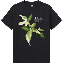 15792233 8305 4ab5 83f7 6a3a02df75df 65 print s