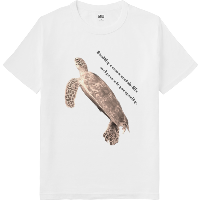 79afd073 3d80 4ad0 b55d 42606b130fde 64 print ll