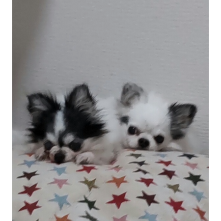 71d0435e 3da8 45da 8615 71e47257a199 s