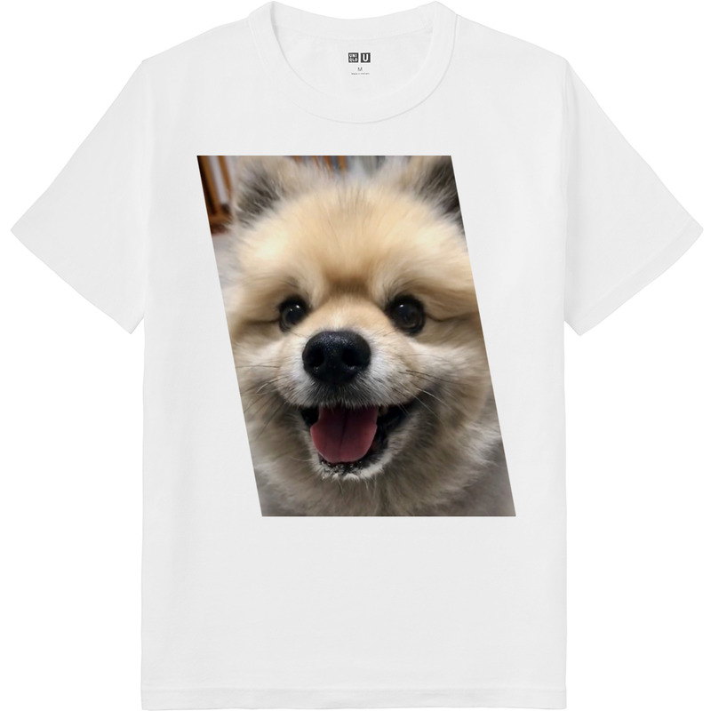 4c7dacf5 ee5d 4c42 af84 944ccca630e0 64 print ll