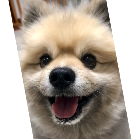 4c7dacf5 ee5d 4c42 af84 944ccca630e0 s