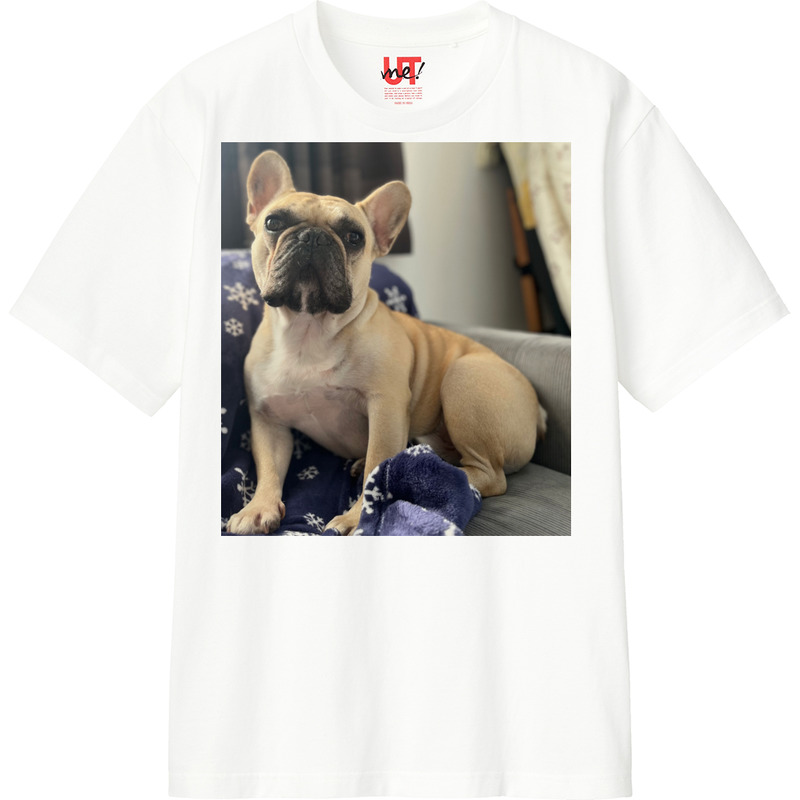 174c7336 3635 4b81 bbd1 dd993ab0ece5 110 print ll