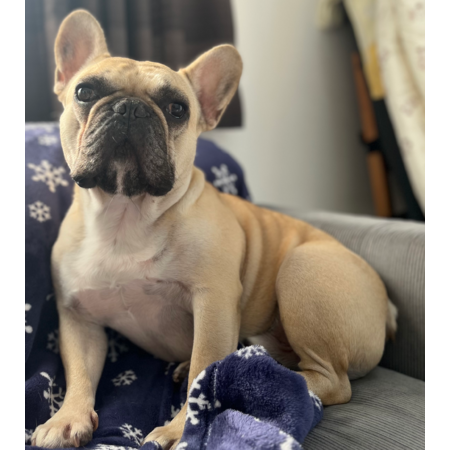 174c7336 3635 4b81 bbd1 dd993ab0ece5 s