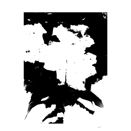 4c188f92 4154 465b 9c10 068da0206807 s