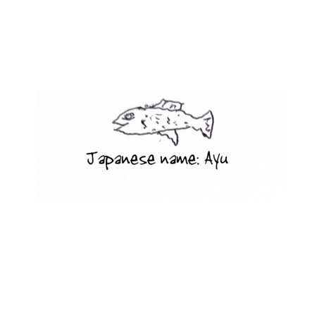 Bdecd1c0 7d36 4caa 9552 0d07568e7f54 s