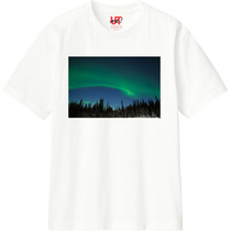 Cc13cbbe bcc8 4802 94c3 12796b6230a2 110 print s