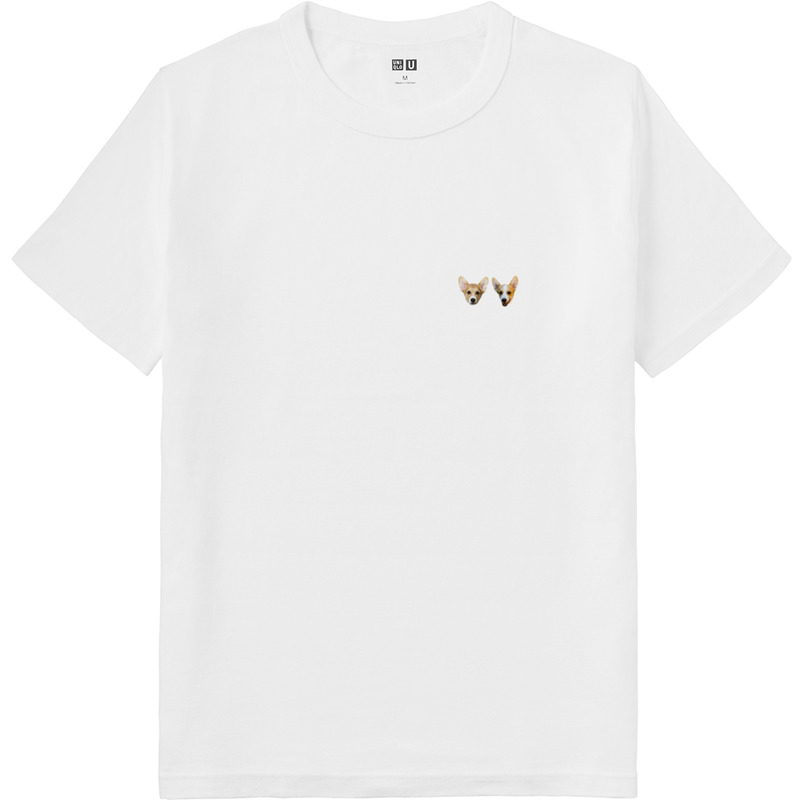 6537be88 b612 4111 b561 e3b5d3d6122c 64 print ll