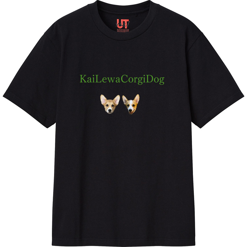 04a54fa9 296d 48cb a210 7d462862a328 111 print ll