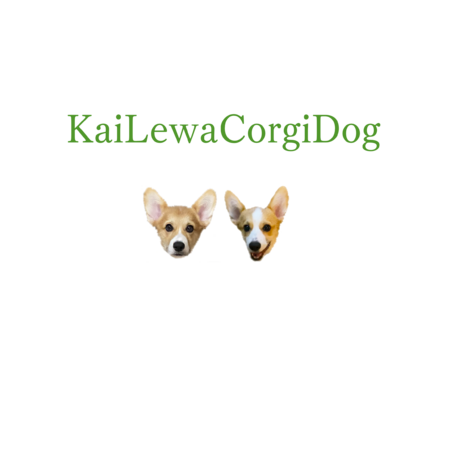 04a54fa9 296d 48cb a210 7d462862a328 s