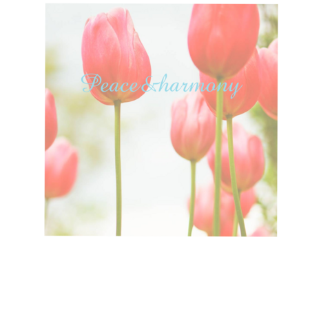 86874049 d3ab 454e 999e 4b5a815831ce s