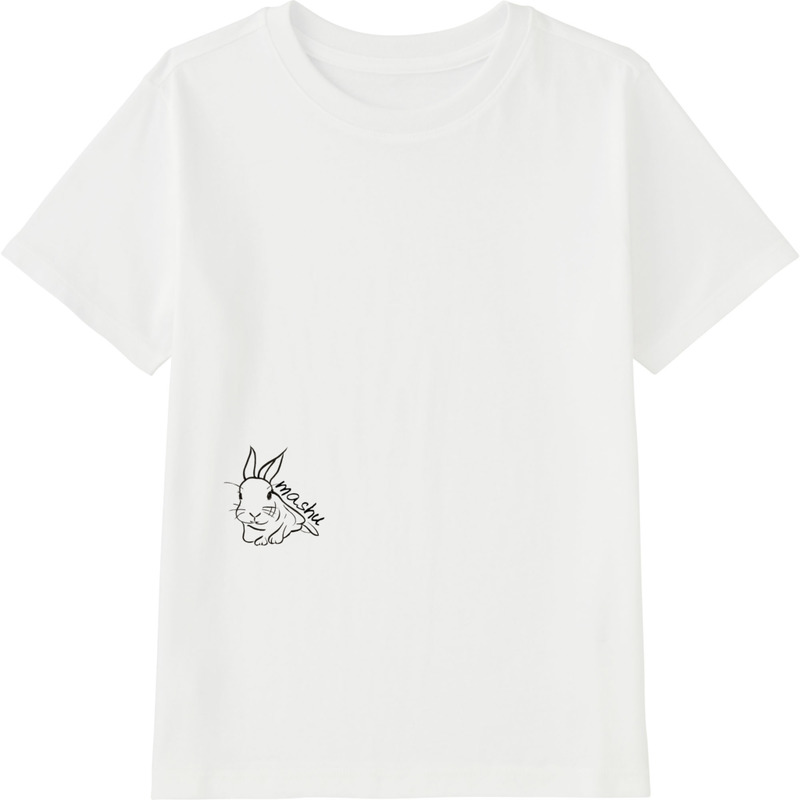 D9a05888 5ee6 494c 8a30 800754f004df 45 print ll