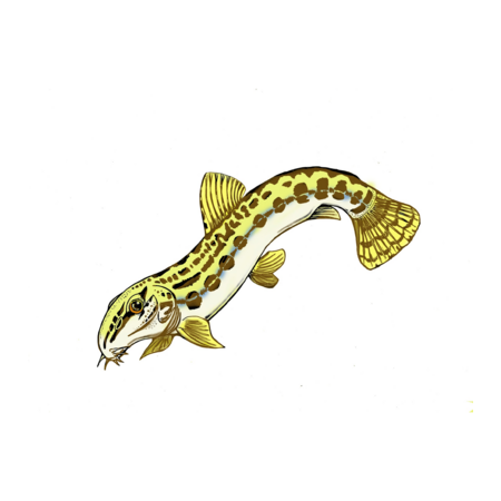 1a8197f1 ff5e 40e3 a17e 650bfd0e0d4f s