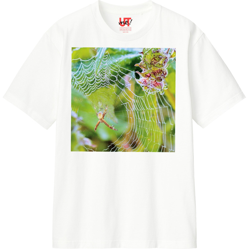 9a59ab4d 83aa 4839 8153 6fba291223ec 110 print ll