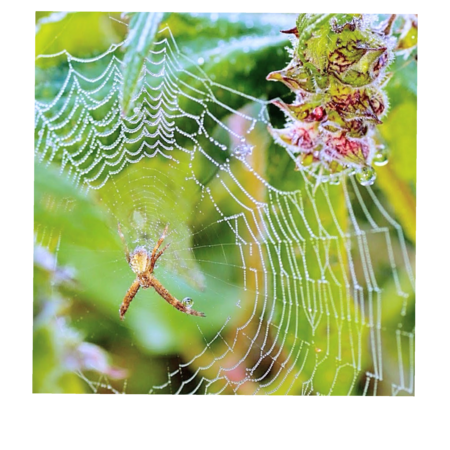 9a59ab4d 83aa 4839 8153 6fba291223ec s