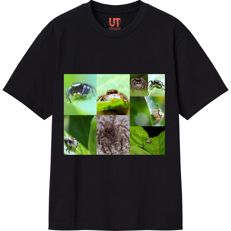 D0b63dce 16d8 4700 8283 cdc1da6e84a4 111 print ll