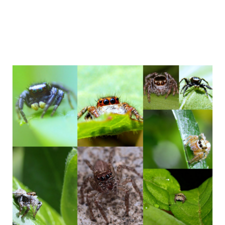 D0b63dce 16d8 4700 8283 cdc1da6e84a4 s