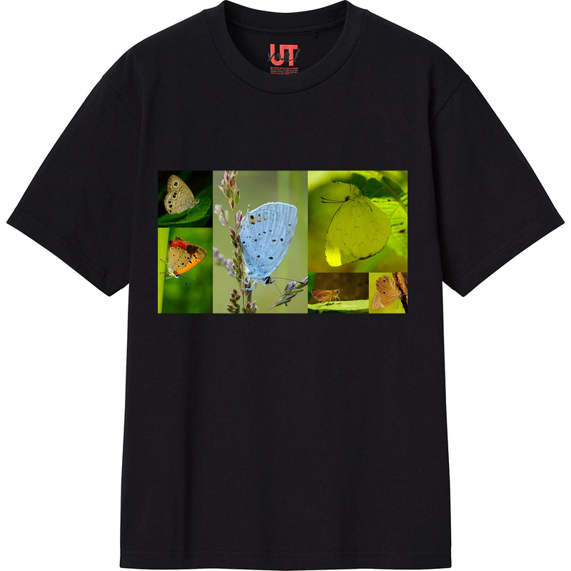 9494f03d d076 42cc a1b1 edda0daa48ce 111 print ll