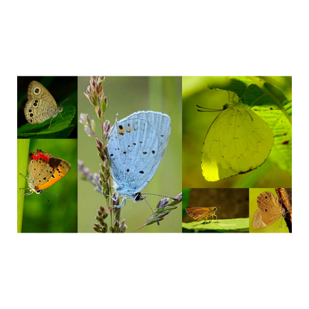 9494f03d d076 42cc a1b1 edda0daa48ce s