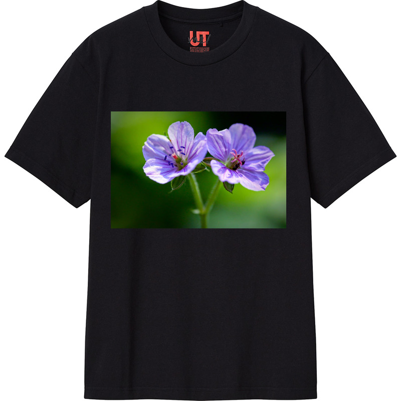 A2f99b00 2079 4bac 9c84 9563a8b425cc 111 print ll