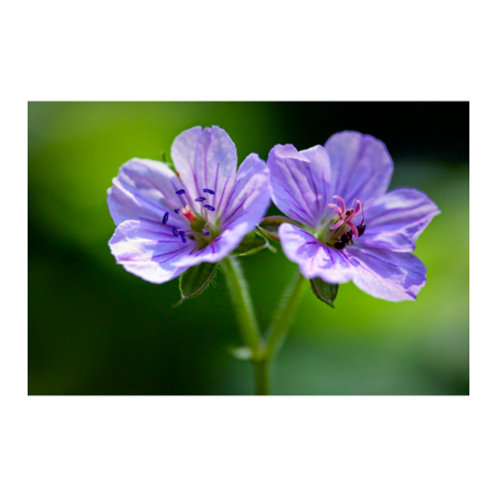 A2f99b00 2079 4bac 9c84 9563a8b425cc s