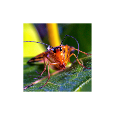 68edbd72 ff35 4025 a964 dac3b33b137b s