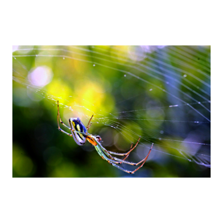 Bcd60694 f02c 4468 9694 094824f7e9d9 s