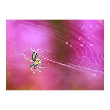 757765b1 2b6e 429e a0d7 fdc2dede1540 s