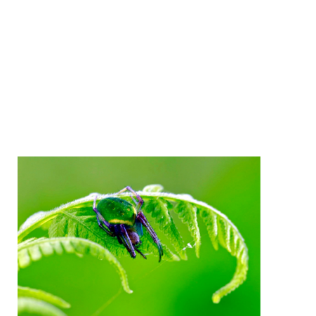 5fce31dc 1a4a 4bf2 acb2 55b13a7dd26b s