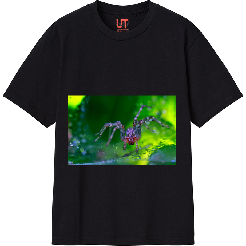 Ac674706 f4ee 4b7b b729 514c8de18fcd 111 print ll