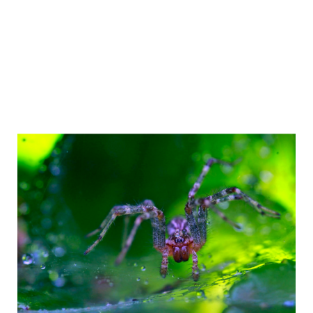 Ac674706 f4ee 4b7b b729 514c8de18fcd s