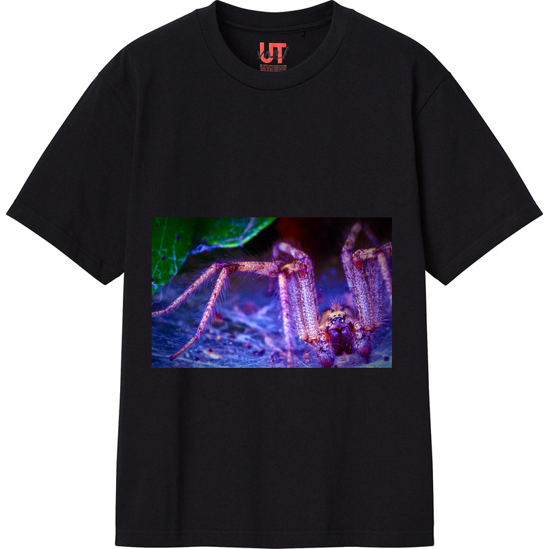 Efa67d11 240c 47d1 a6ad a6ff64699d98 111 print ll