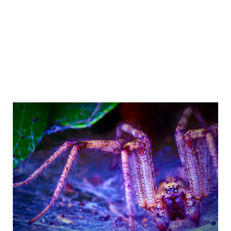 Efa67d11 240c 47d1 a6ad a6ff64699d98 s