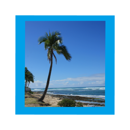 1498f7b7 f8d4 4ef8 9e6d eaae7f60e8fb s