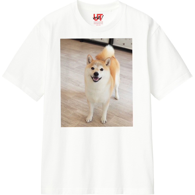 Cdf41205 6bea 45d8 be63 8502c05d6b15 110 print ll