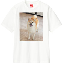 Cdf41205 6bea 45d8 be63 8502c05d6b15 110 print s