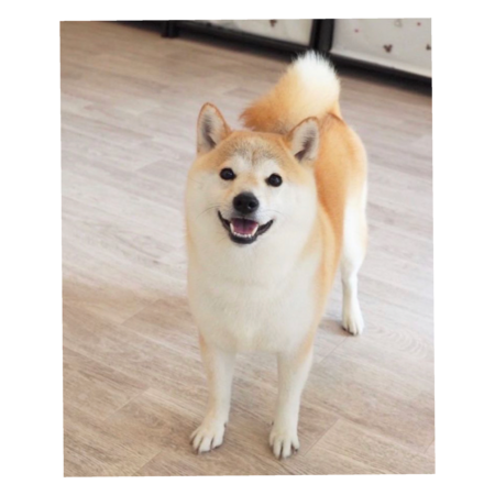 Cdf41205 6bea 45d8 be63 8502c05d6b15 s